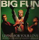 12inch Vinyl Single - Big Fun - Living For Your Love