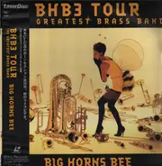 Big Horns Bee - BHB3