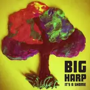 Big Harp - It's A Shame