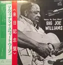 LP - Big Joe Williams - Malvina My Sweet Woman - Promo, +Obi, Insert, Mono