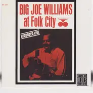 Big Joe Williams - At Folk City