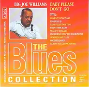 Big Joe Williams - The Blues Collection Vol.36: Baby Please Don't Go