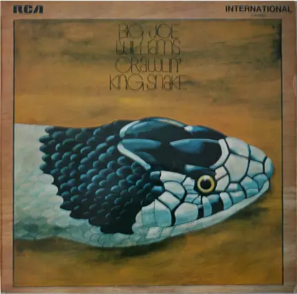 Big Joe Williams - Crawlin' King Snake