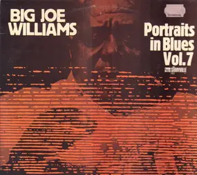 Big Joe Williams - Portraits In Blues, Vol. 7