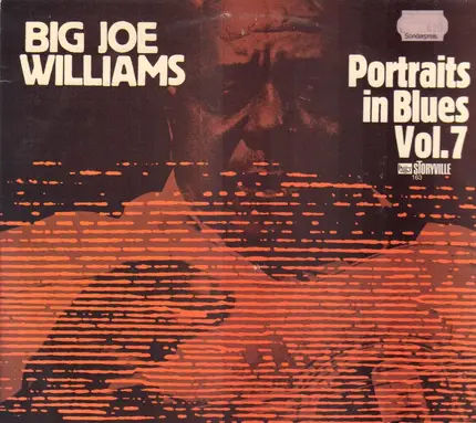 Big Joe Williams - Portraits In Blues, Vol. 7