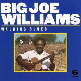 Big Joe Williams - Walking Blues