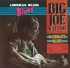 CD - Big Joe Williams - Watergate Blues