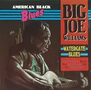 CD - Big Joe Williams - Watergate Blues