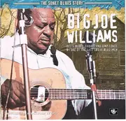 CD - Big Joe Williams - Big Joe Williams
