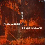 Big Joe Williams - Piney Woods Blues