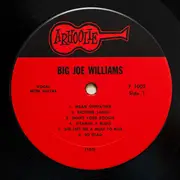 LP - Big Joe Williams - Tough Times