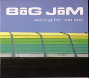 Big Jim - Waiting For The End