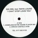 12inch Vinyl Single - Big Owl feat. Tanya Louise - I Can't Stop Lovin' You