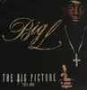 Double LP - Big L - The Big Picture (1974-1999) - Original Press on Rawkus with fw ds in Matrix