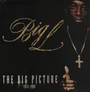 Double LP - Big L - The Big Picture (1974-1999) - Original Press on Rawkus with fw ds in Matrix