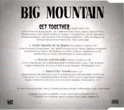 CD Single - Big Mountain - Get Together