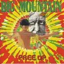 CD - Big Mountain - Free Up