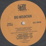 12inch Vinyl Single - Big Mountain - Sweet Sensual Love