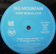 12inch Vinyl Single - Big Mountain - Sweet Sensual Love