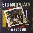 CD - Big Mountain - Things To Come