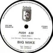 12inch Vinyl Single - Big Mike - Push