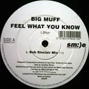 Big Muff - Feel What You Know