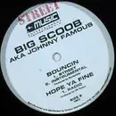 12inch Vinyl Single - Big Scoob - My Hood