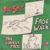 7inch Vinyl Single - Big Sky - Frog Walk
