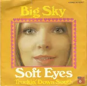 7inch Vinyl Single - Big Sky - Soft Eyes / Truckin' Down South