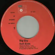 7inch Vinyl Single - Big Sky - Soft Eyes / Truckin' Down South
