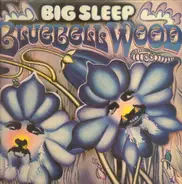 Big Sleep - Bluebell Wood