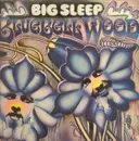 LP - Big Sleep - Bluebell Wood - pokora 5001 original german