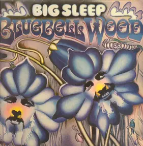 The Big Sleep - Bluebell Wood