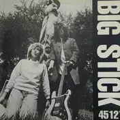 Big Stick - 45 12'