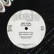 Big Pun - It's So Hard