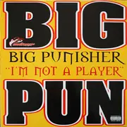 12inch Vinyl Single - Big Punisher - I'm Not A Player