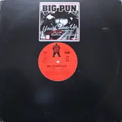 Big Punisher - You Came Up