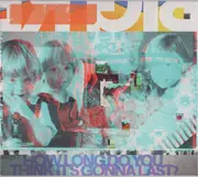 CD - Big Red Machine - How Long Do You Think It's Gonna Last? - Digisleeve
