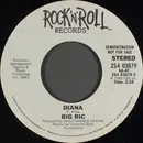 7inch Vinyl Single - Big Ric - Diana