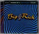 CD - Big & Rich - Horse Of A Different Color