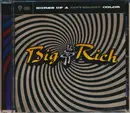 CD - Big & Rich - Horse Of A Different Color