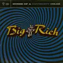 CD - Big & Rich - Horse Of A Different Color