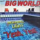 12inch Vinyl Single - Big World - Morning Light