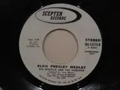 Big Wheelie & The Hubcaps - Chuck Berry Medley/Elvis Presley Medley