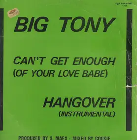 Big Tony - Can't Get Enough (Of Your Love Babe)