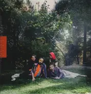 Big Thief - U.F.O.F.