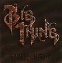 CD - Big Thing - Fallen Nation