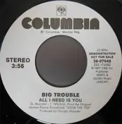 Big Trouble House - All I Need Is You