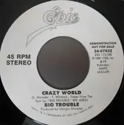 7inch Vinyl Single - Big Trouble - Crazy World - Styrene