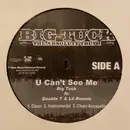 12inch Vinyl Single - Big Tuck - U Can't See Me - Promo